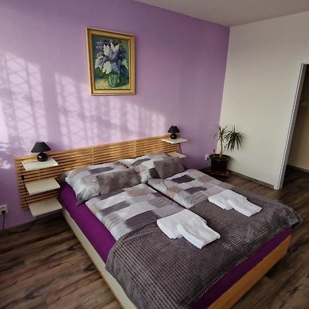 Byt S Jedinecnym Vyhledem Decin Extérieur photo